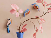 Vögel / Kingfishers