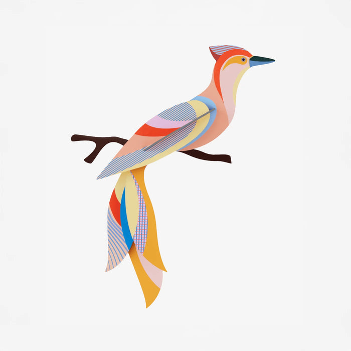 Paradise Bird / 3D Objekt / Sabah