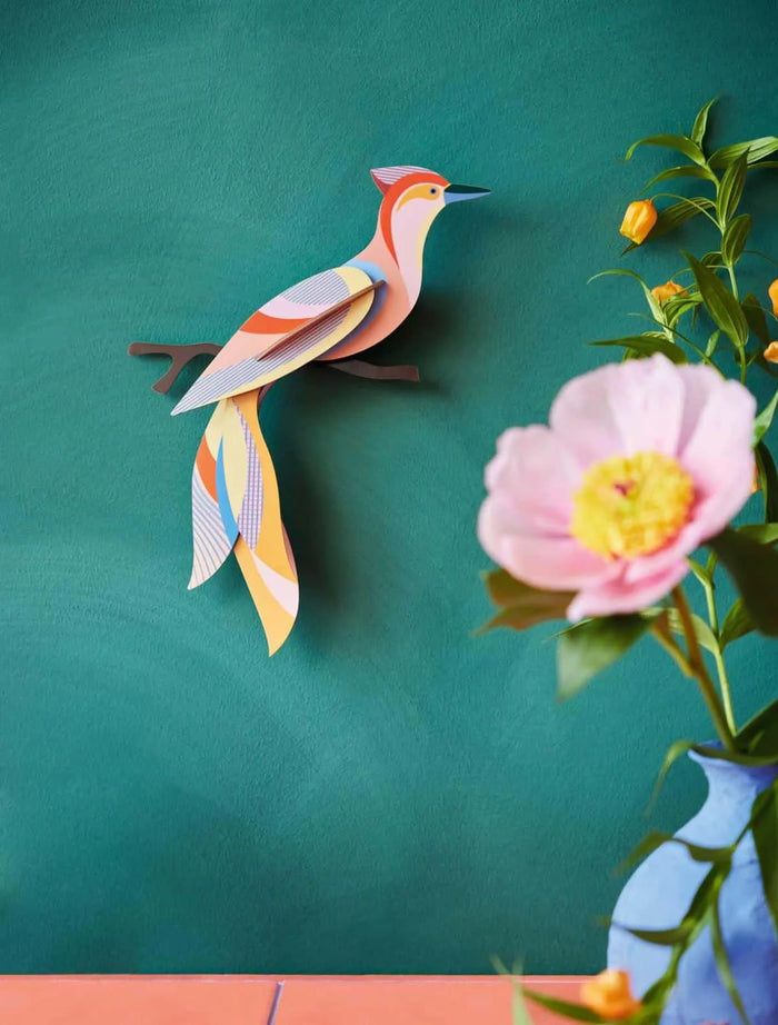 Paradise Bird / 3D Objekt / Sabah
