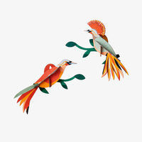 Paradise Bird / 3D Objekt / Obi
