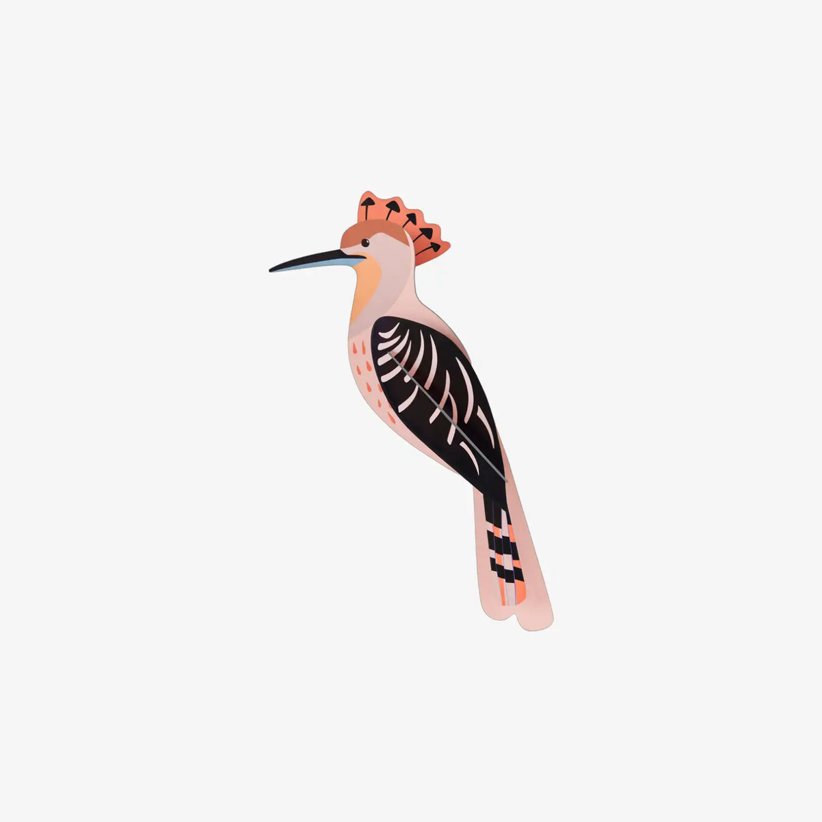 Hoopoe / Paradise Birds