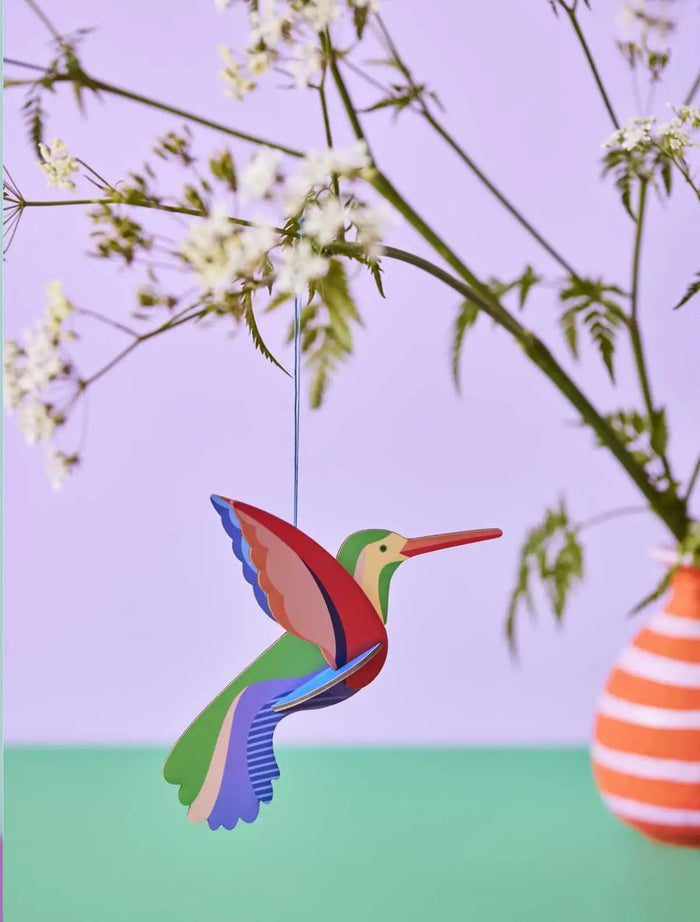 Pop Out Card / Hummingbird / Paradise Birds