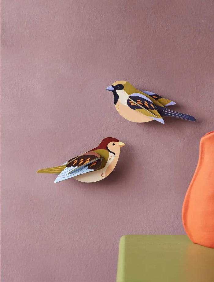 Gartenvögel / 3D Objecte / Sparrows