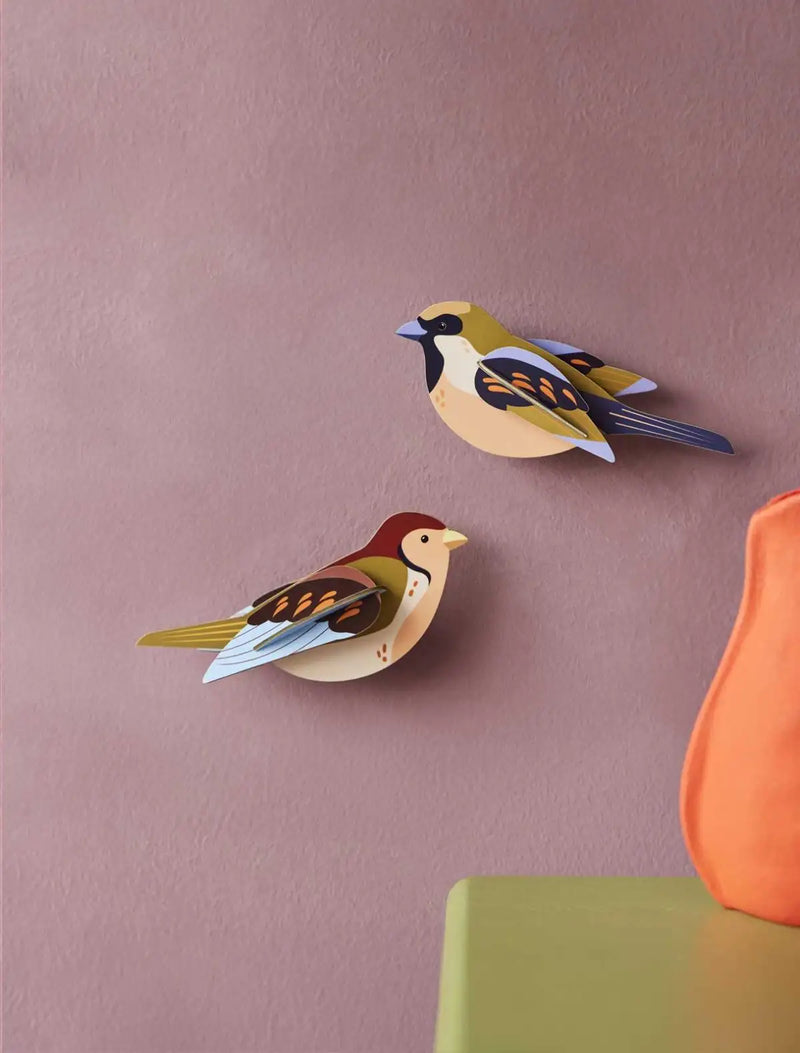 Gartenvögel / 3D Objecte / Sparrows