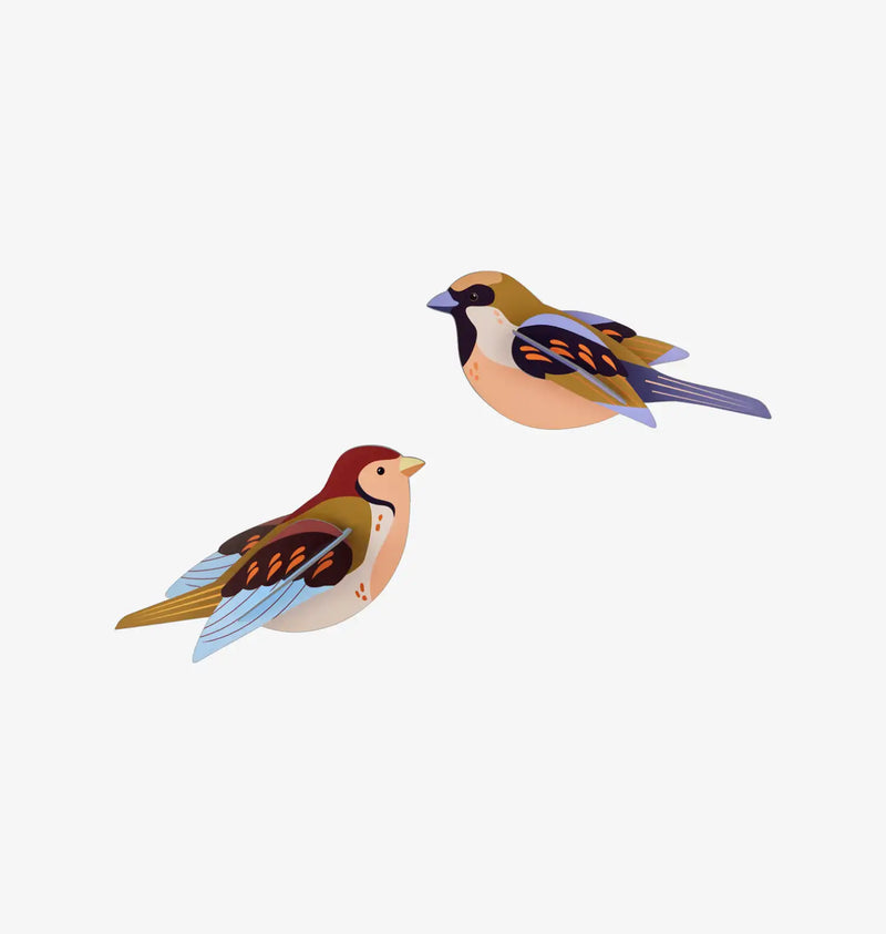 Gartenvögel / 3D Objecte / Sparrows