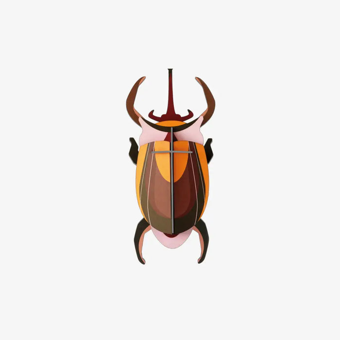 Small Insects / Elephant beetle