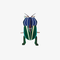 Small Insects / Mimela Scarab Beetle