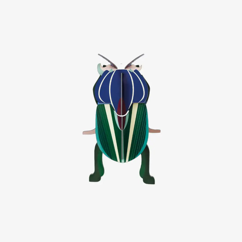 Small Insects / Mimela Scarab Beetle