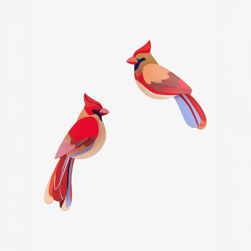 Gartenvögel / 3D Objekt / Cardinals