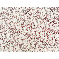 Lokta Papier / Bogen Blütenzweige / natur/ rot/ bambus/ ebenholz