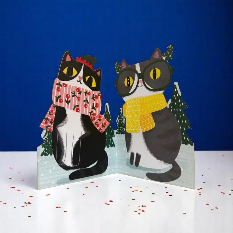 XWB001-KATZE-Card-mit-Wackelaugen-von-Alljoy-Design-Produktansicht-Aufgeklappt-hinten-beschriftbar-1