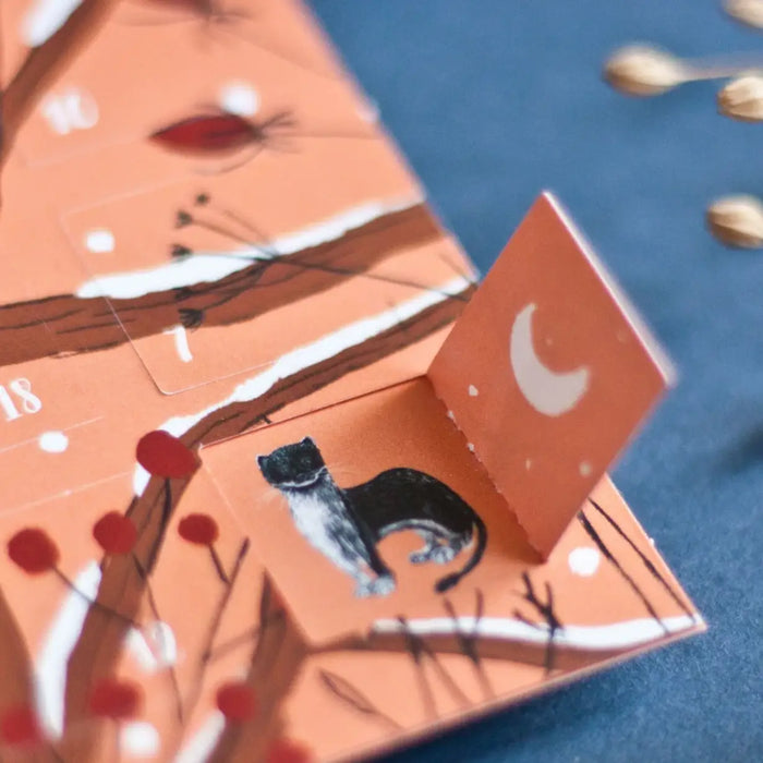 adventskalender-format-postkarte-katja-rub-motiv-Waschbaer-Cover-Detailansicht