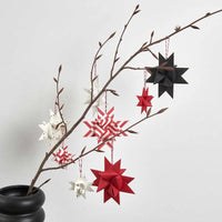 froebelsternstreifen-rot-weiss-120g-60-streifen-Froebelstern-Beispielfoto-2