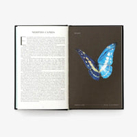 laurence-king-verlag-wunderwelt-der-insekten-hardcover-blick-ins-buch-2