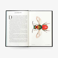 laurence-king-verlag-wunderwelt-der-insekten-hardcover-blick-ins-buch-3