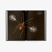 laurence-king-verlag-wunderwelt-der-insekten-hardcover-blick-ins-buch-4