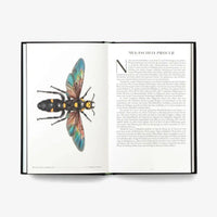 laurence-king-verlag-wunderwelt-der-insekten-hardcover-blick-ins-buch-4