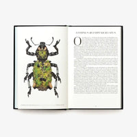 laurence-king-verlag-wunderwelt-der-insekten-hardcover-blick-ins-buch-6