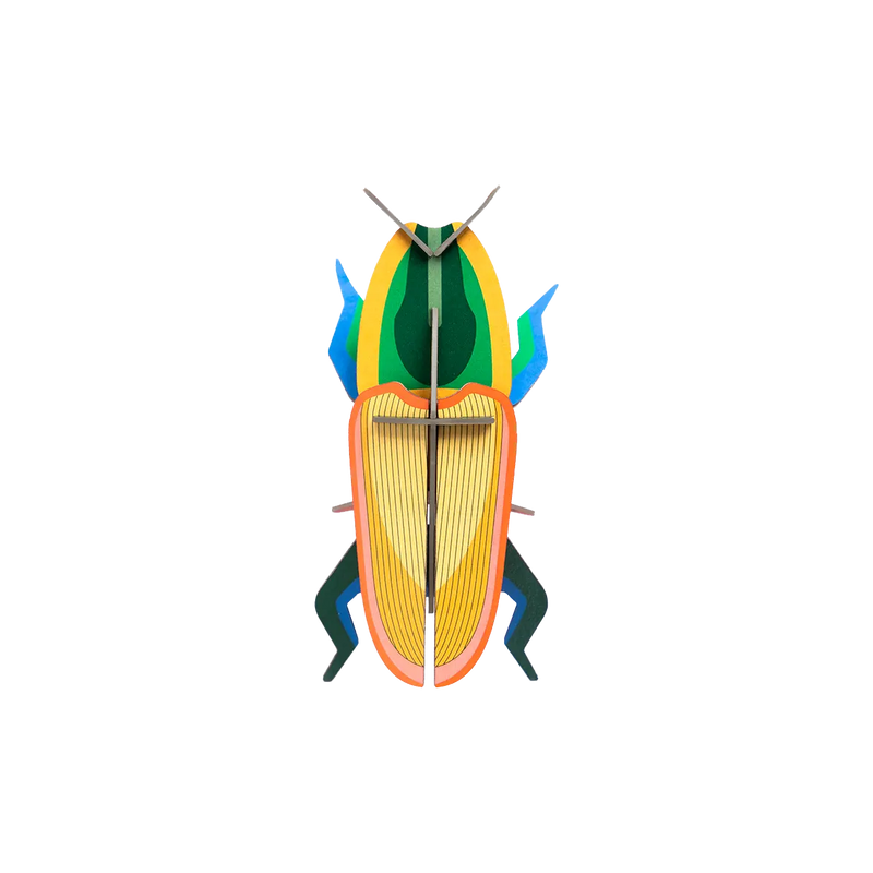 Madagascar Beetle / 3D Objekt