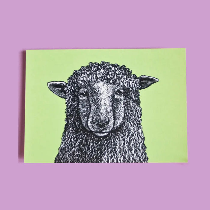 postkarte-katja-rub-motiv-Schaf-Vorderansicht