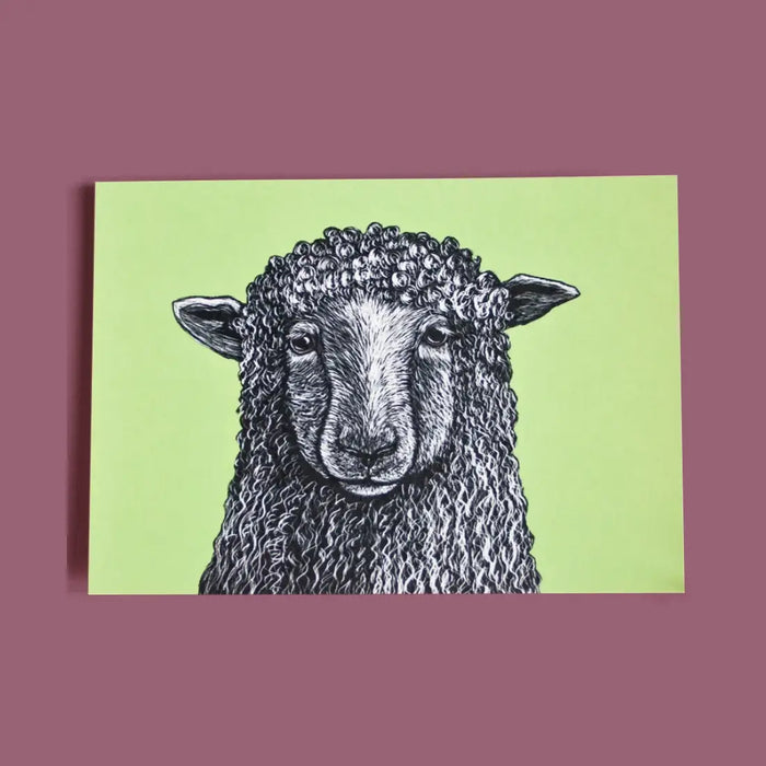 Postkarte | Katja Rub | Motiv: Schaf