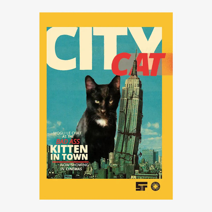 postkarte-streuner-city-cat-format-a6