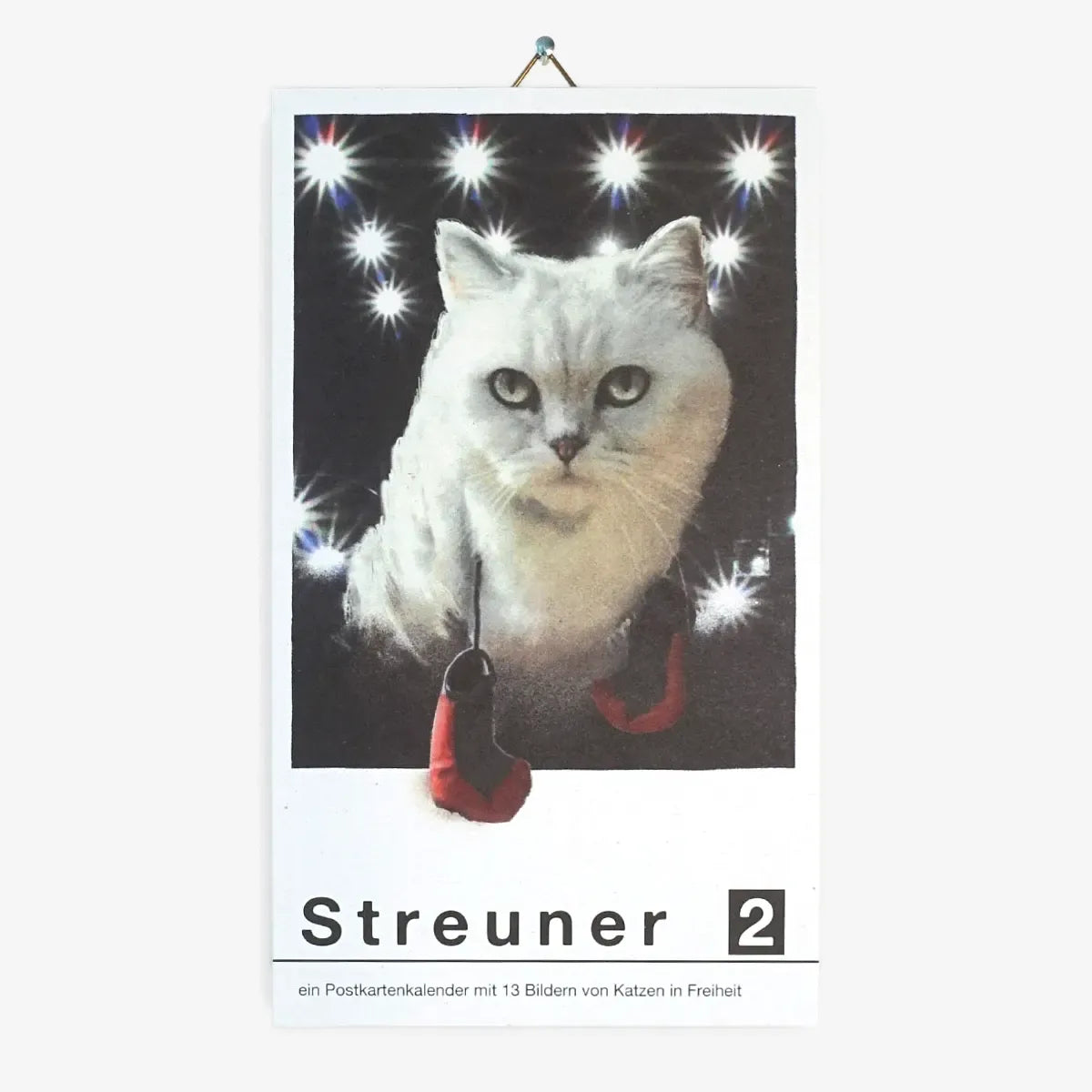 postkartenkalender-streuner-2-13-postkarten-Cover