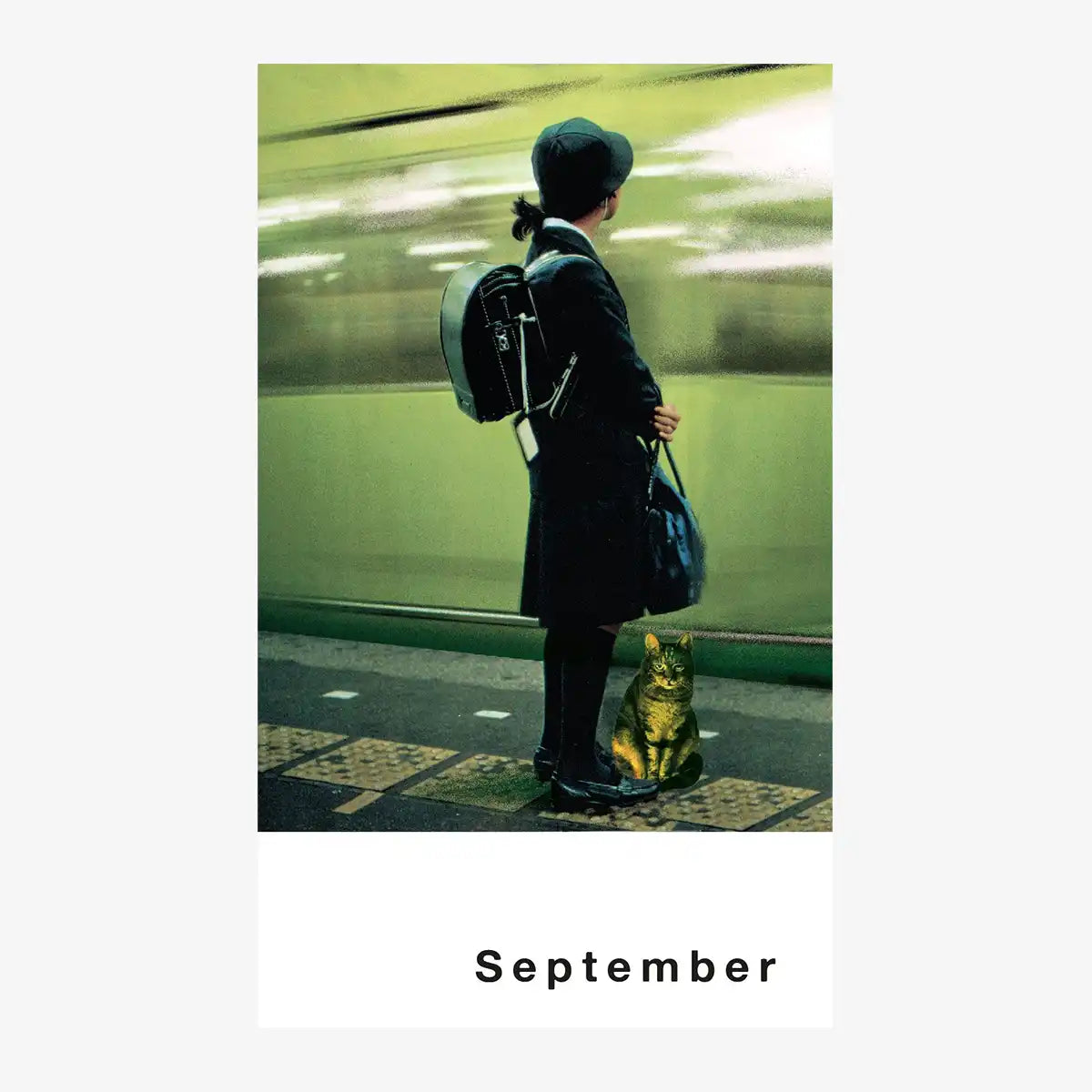 postkartenkalender-streuner-7-13-postkarten-cover-September