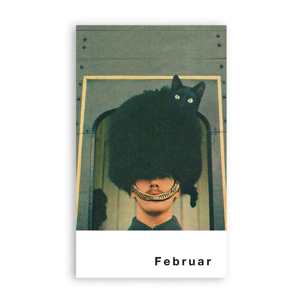 streuner-postkartenkalender-Superfreunde_Februar