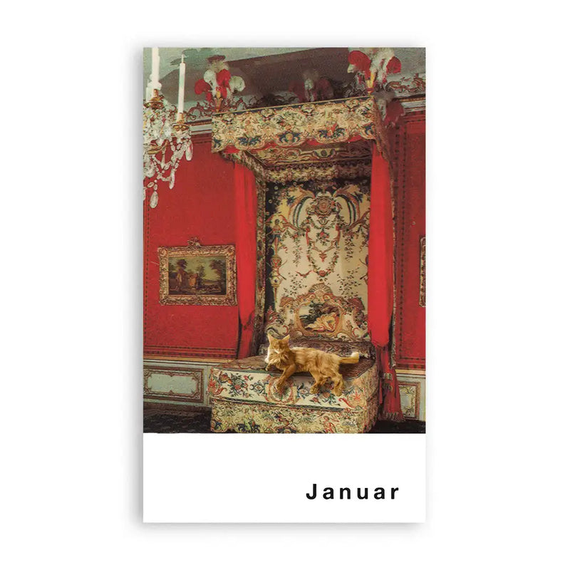 streuner-postkartenkalender-Superfreunde_Januar