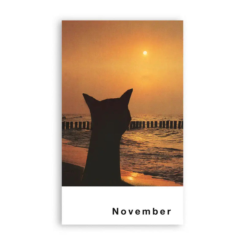 streuner-postkartenkalender-Superfreunde_November