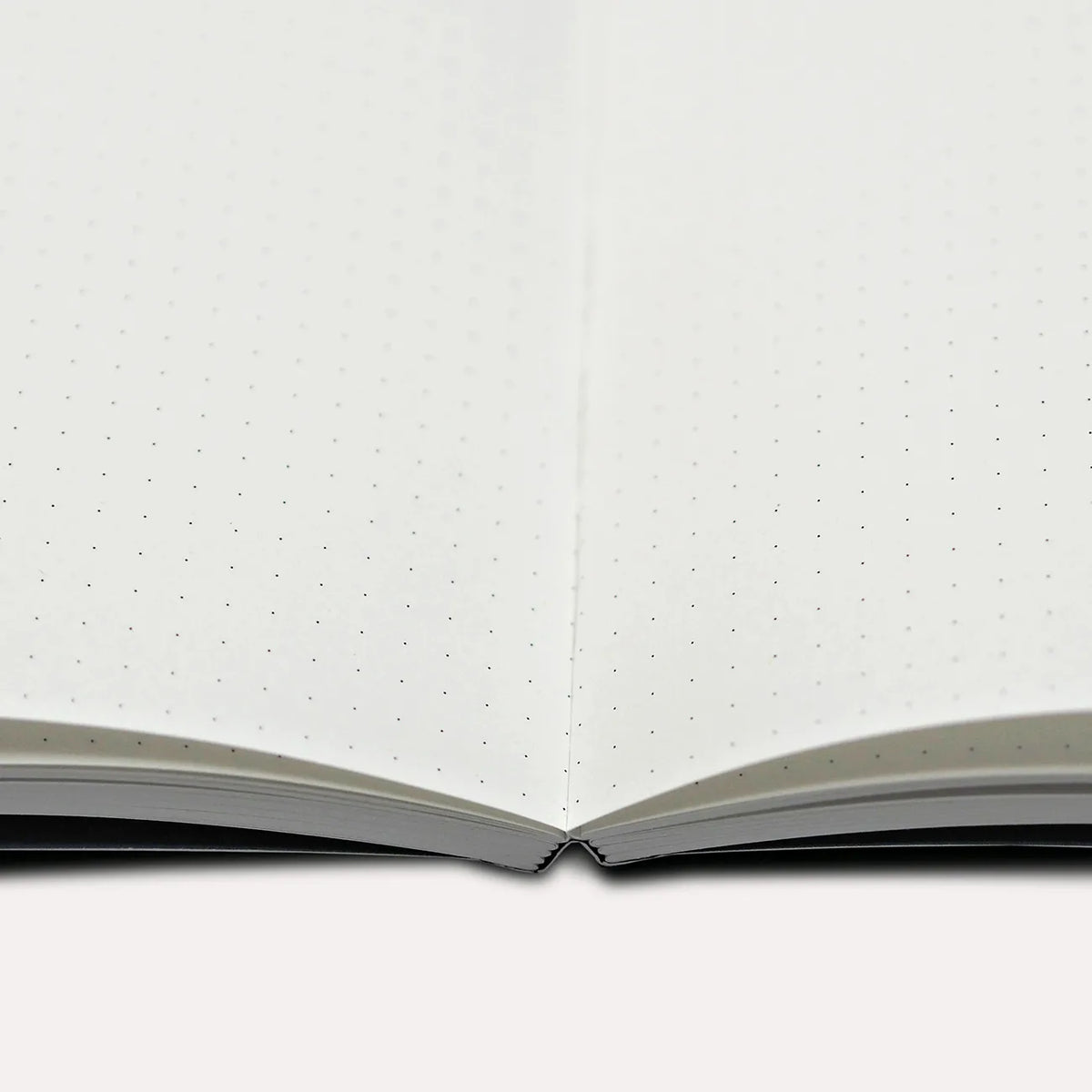 the-completist-notizbuch-notebook-a5-dotted-softcover-Lineatur-Dotted-Ansicht-Zoo