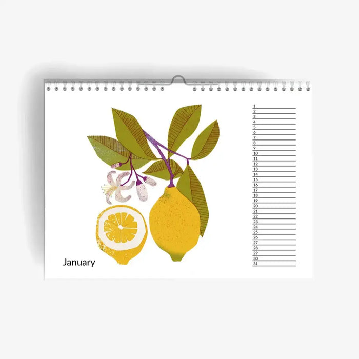 wandkalender-immerwahrender-geburtstagskalender-fruits-birthday-Cover-januar