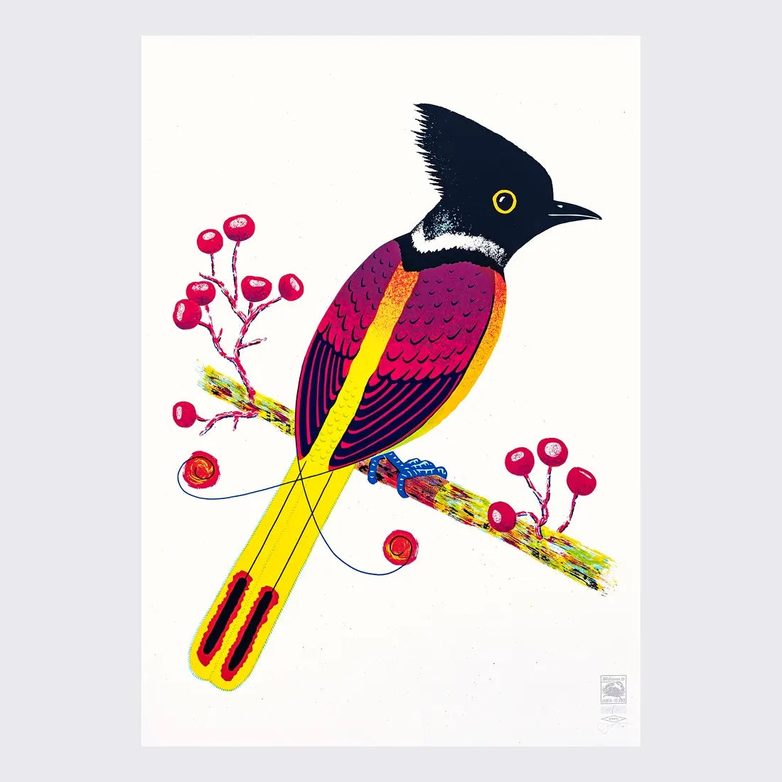 Poster / Art Print  / Bird of Janta Island / 70x100cm / gerahmt oder ungerahmt
