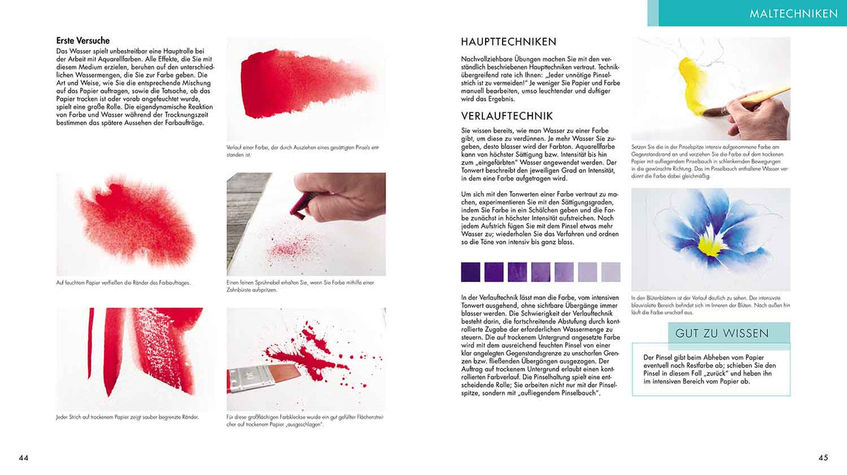 EMF / Das neue Aquarell Praxis Buch