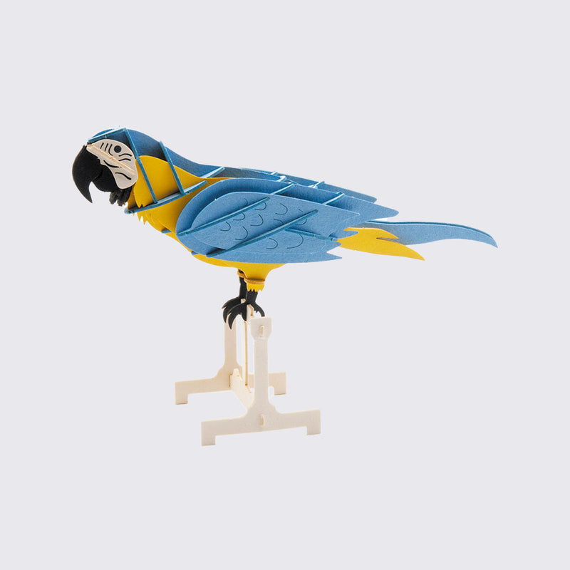 3D Papiermodell / Papagei