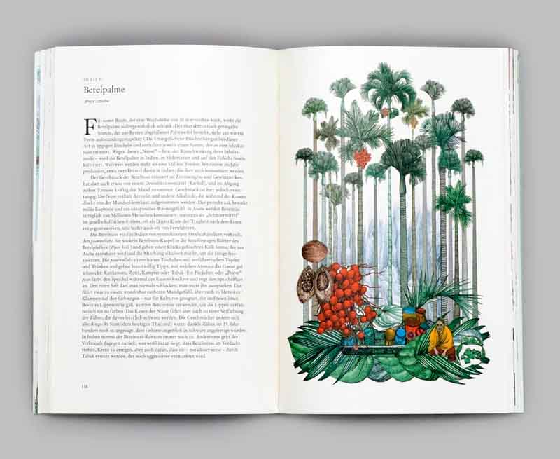 Laurence King Verlag / In 80 Bäumen um die Welt / Hardcover