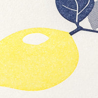 Briefset, Hersteller Midori, Letterpress , lemon, Zitrone, Ansicht des Dekors