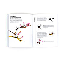 Tusche Lernbuch / Lust auf Kunst