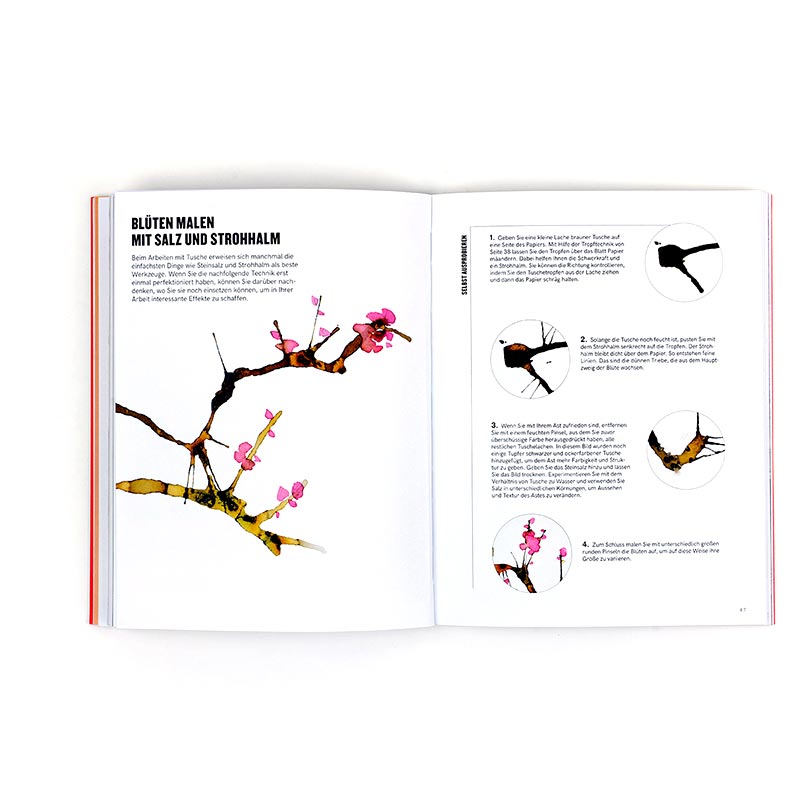 Tusche Lernbuch / Lust auf Kunst