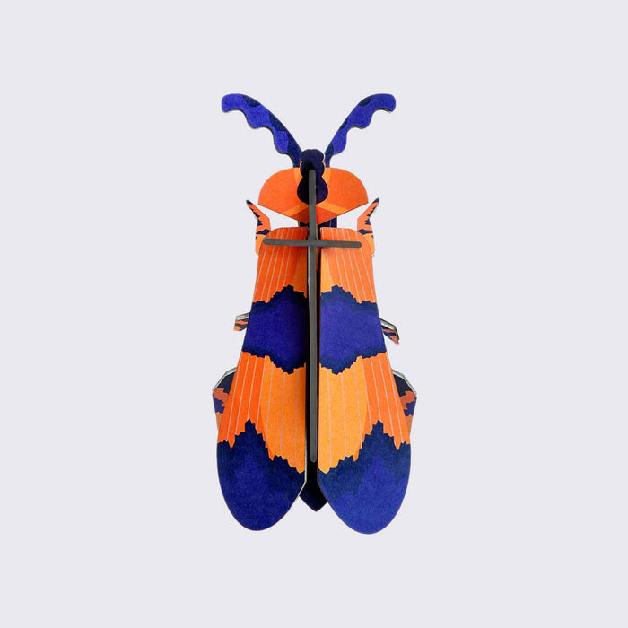 Studio Roof / Winged Beetle / 3D Objekt / Wanddekoration / zum Basteln und Dekorieren